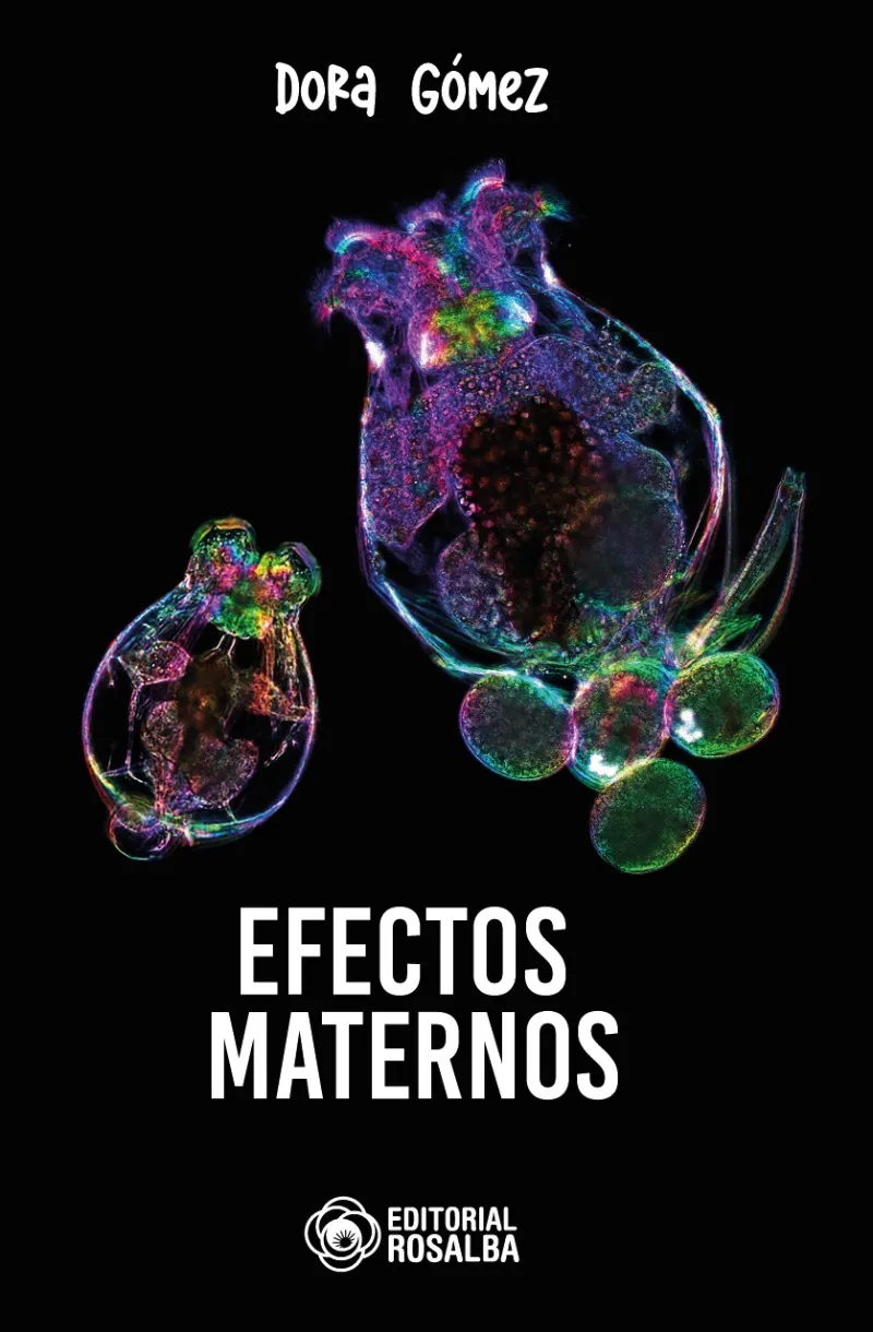 Efectos maternos