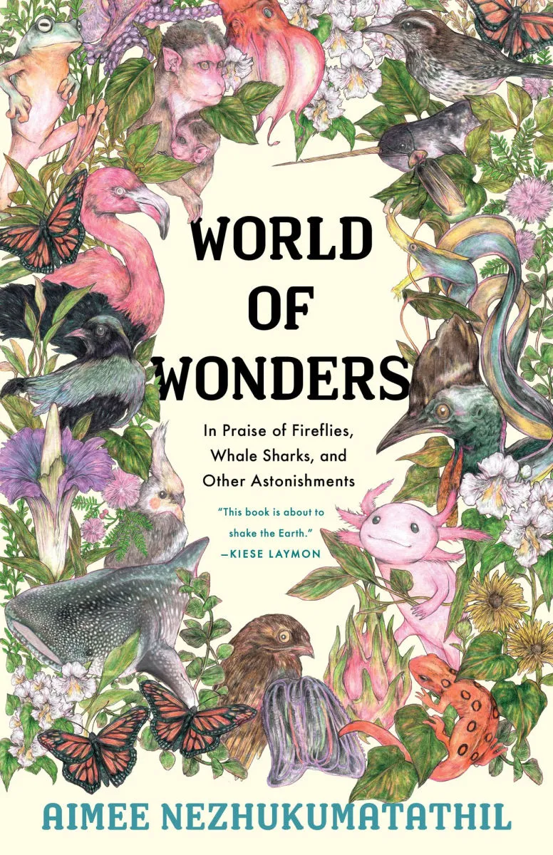 World of wonders